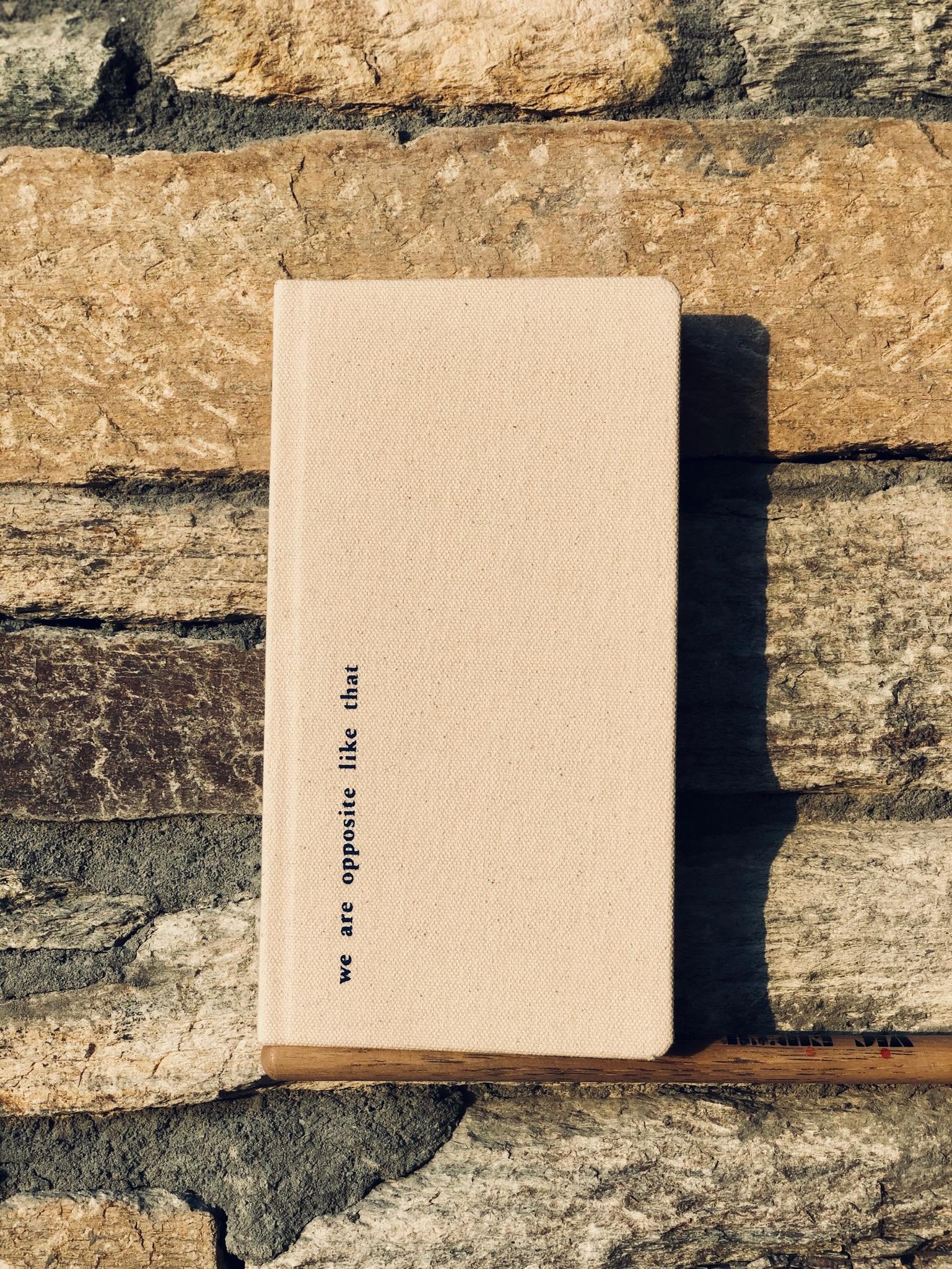 IMG-0012.JPG#asset:4815