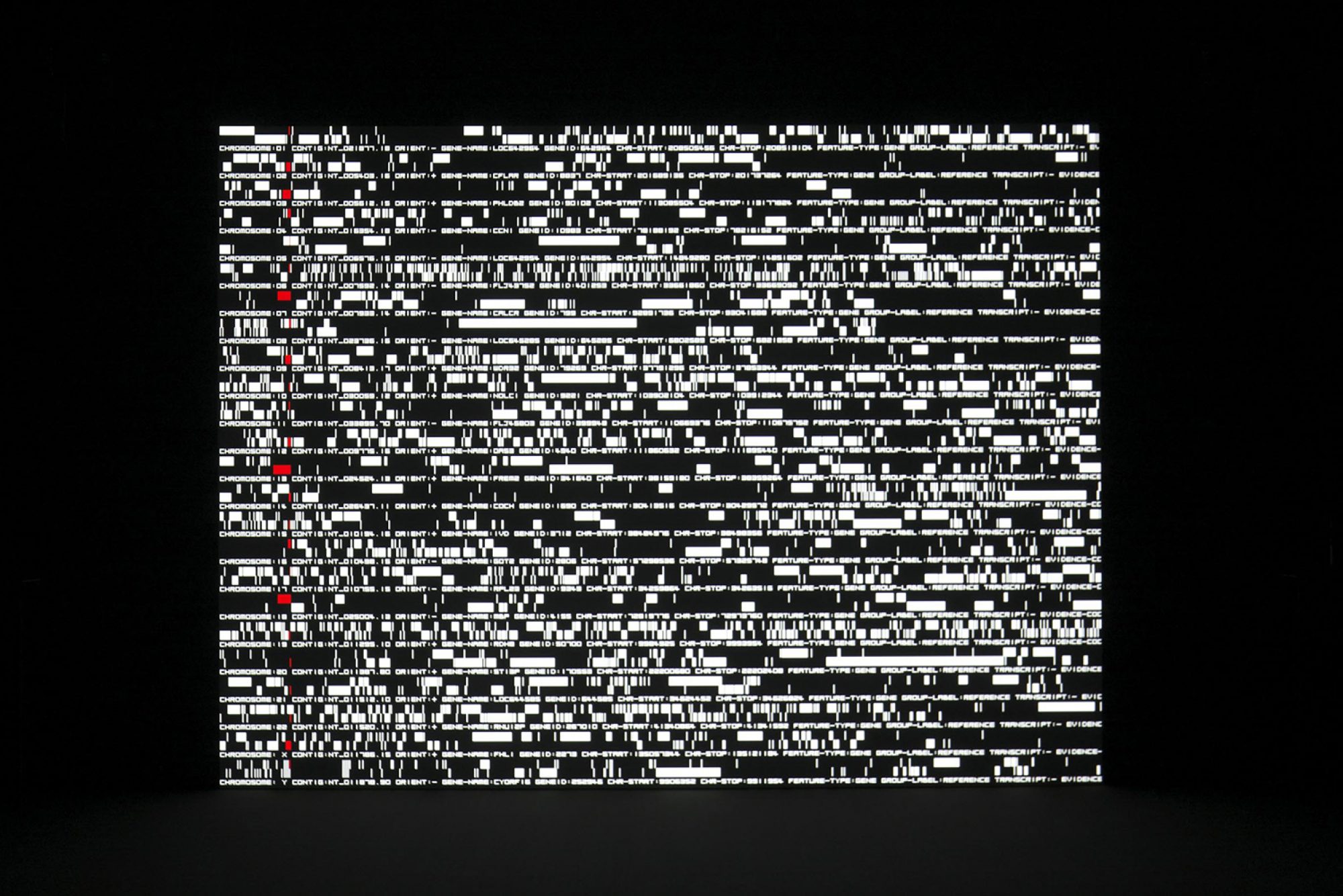 希少池田亮司RYOJIIKEDAdatamatics printed italy Ryoji Ikeda: data-verse - High Museum of Art