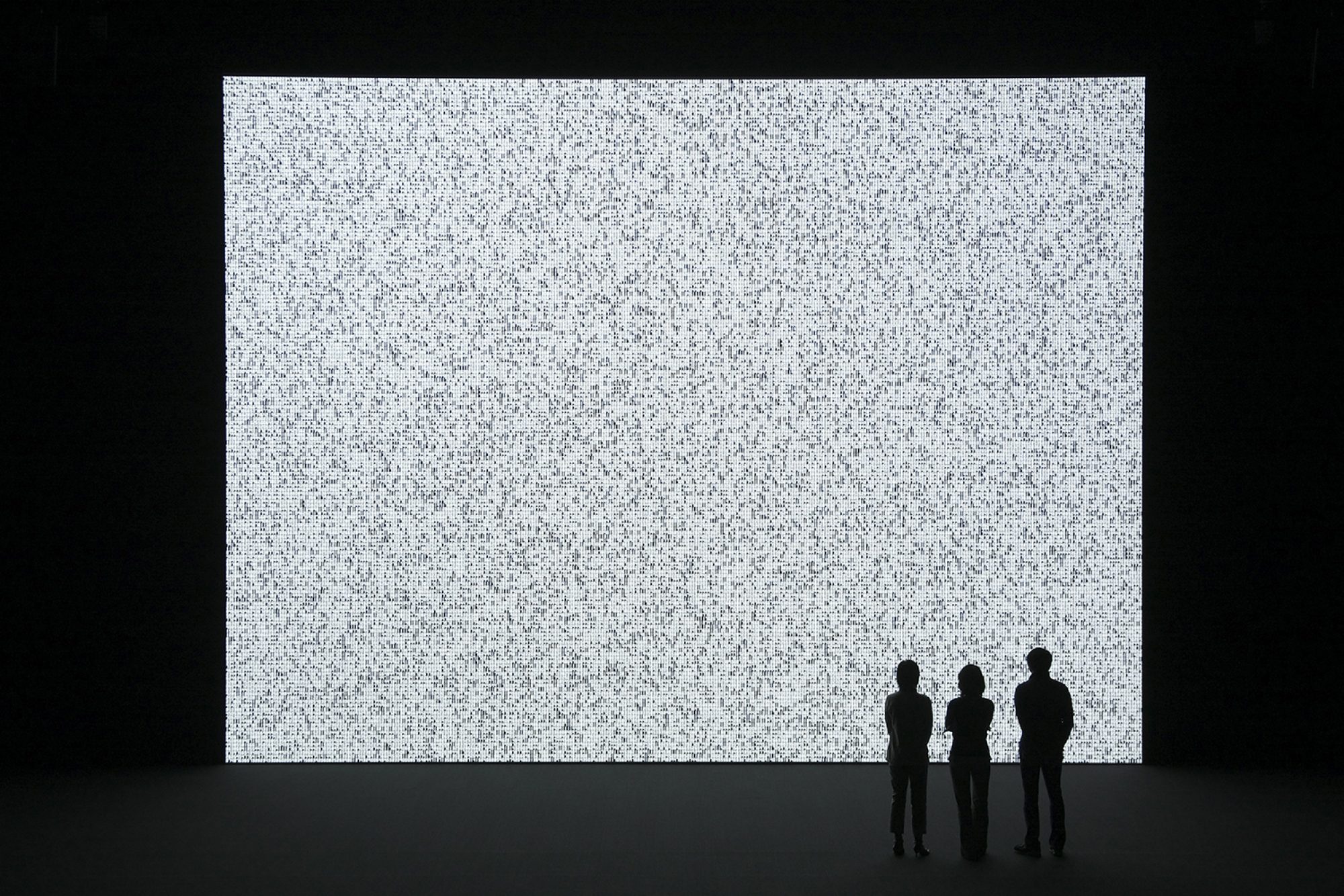 希少池田亮司RYOJIIKEDAdatamatics printed italy Ryoji Ikeda - Forma