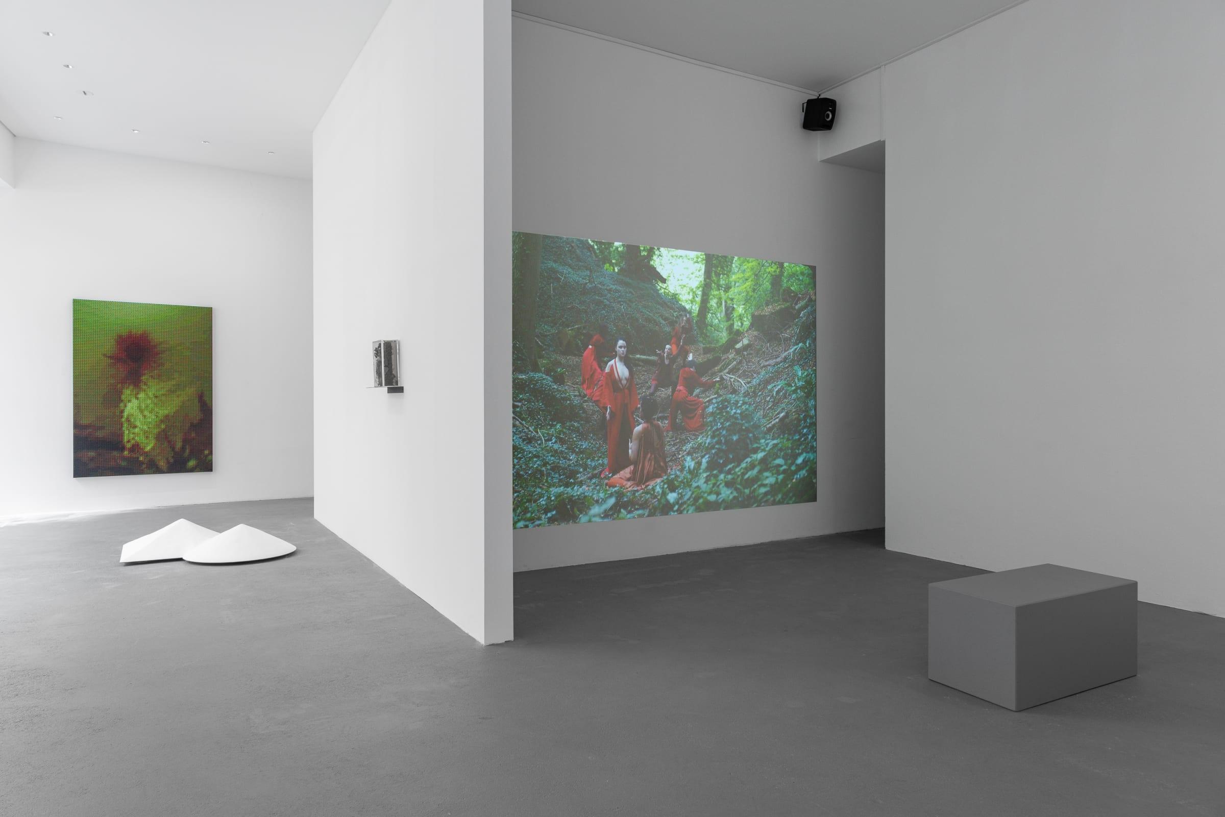 installation-view_in-a-forest-of-red-green-and-blue_2023_dirk.tacke_4_web-bearbeitet.jpg#asset:6484